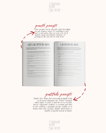 Obsessed with Growth Journal